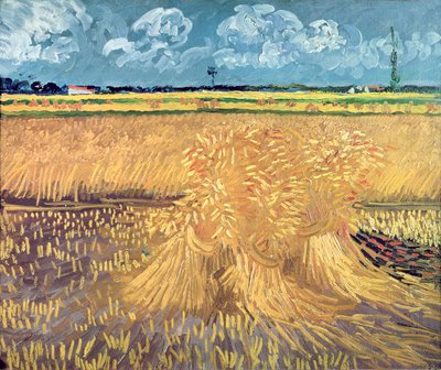 Korenveld met schoven, 1888 door Vincent van Gogh